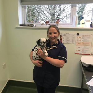jonathan wood vets