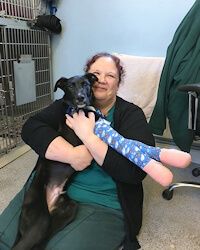 jonathan wood vets