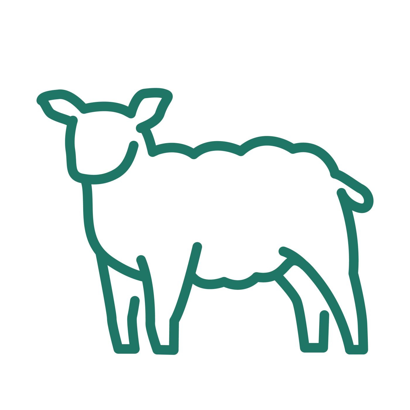 Herd and flock health plans